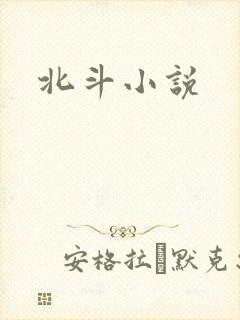 北斗小说封面