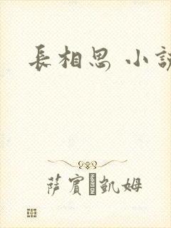 长相思 小说封面