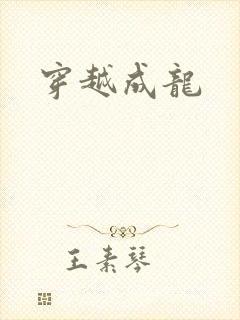 穿越成龙