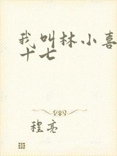 我叫林小喜今年十七