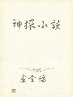 神探小说