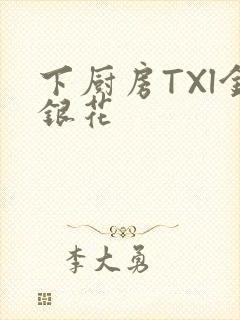 下厨房TXl金银花