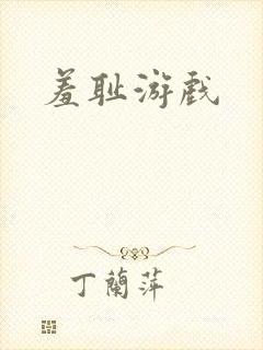 羞耻游戏封面