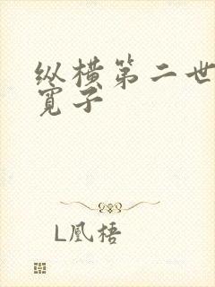 纵横第二世界 宽子