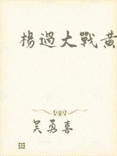 杨过大战黄蓉