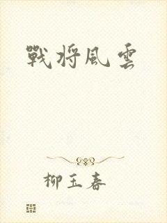 战将风云封面
