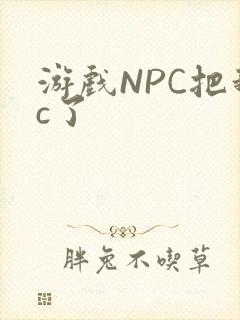 游戏NPC把我c了