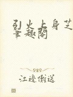 引火上身芝麻糖笔趣阁
