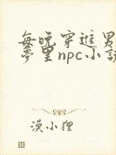 每晚穿进男神的梦里npc小说