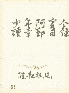 少年阿宾全文阅读章节目录封面