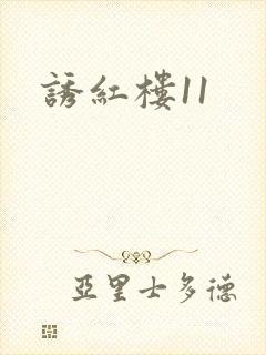 诱红楼11封面