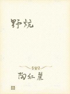野炕