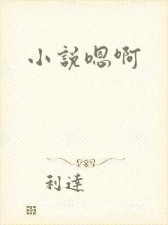 小说嗯啊
