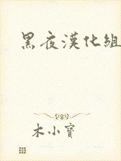 黑夜汉化组