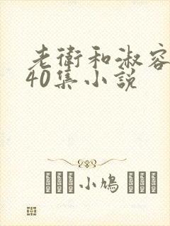 老卫和淑容1-40集小说