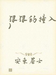 狠狠的撞入(h)