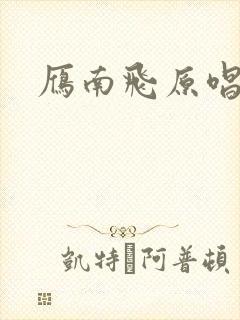 雁南飞原唱