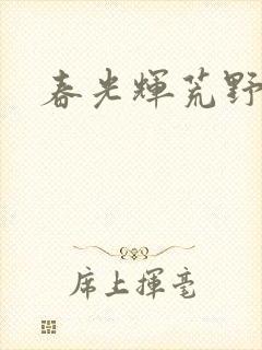 春光辉荒野封面