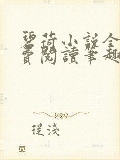碧荷小说全文免费阅读笔趣阁