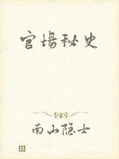 官场秘史