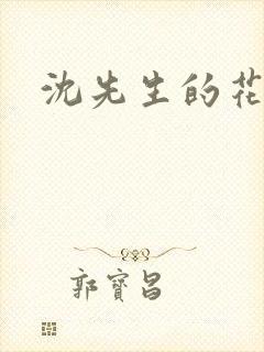 沈先生的花式
