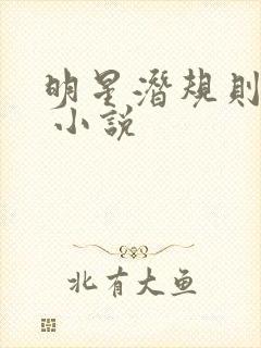 明星潜规则之皇 小说