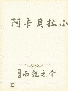阿卡贝拉小说封面