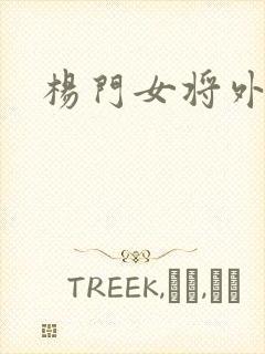 杨门女将外传