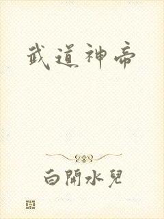 武道神帝封面