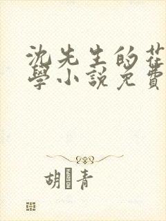 沈先生的花式教学小说免费
