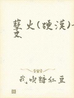 孽火(硬汉)今又封面