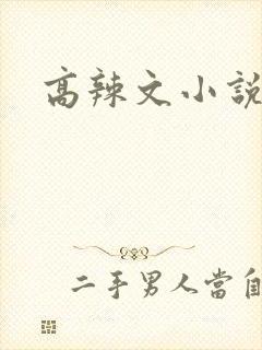 高辣文小说