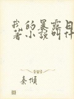 我的暴露日记原著小说叫什么