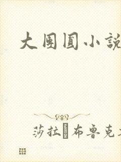 大团圆小说