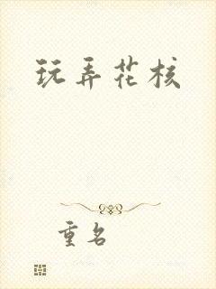 玩弄花核封面