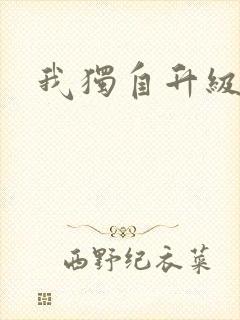 我独自升级封面