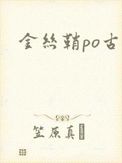 金丝鞘po古言