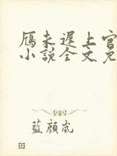 雁未迟上官穿越小说全文免费阅读