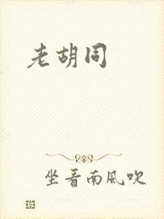 老胡同封面