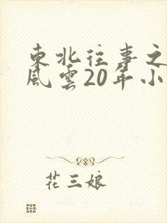 东北往事之黑道风云20年小说封面