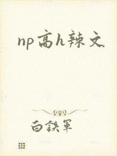 np高h辣文封面