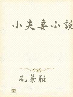 小夫妻小说封面