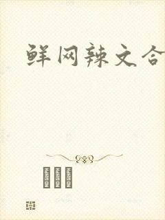鲜网辣文合集