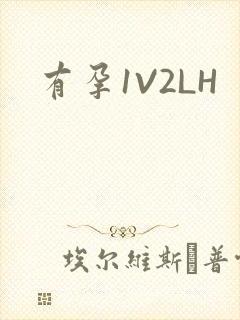 有孕1V2LH