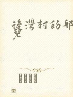 后湾村的那些事儿封面