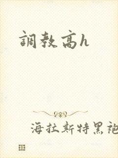 调教高h