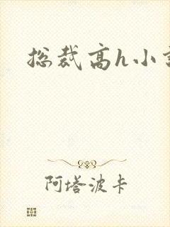 总裁高h小说
