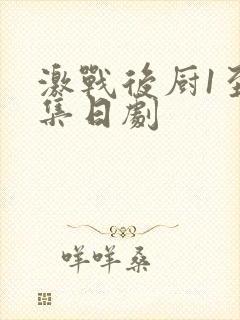 激战后厨1至5集日剧封面