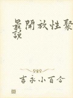 最开放性聚会小说