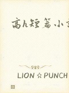 高h短篇小说封面